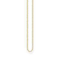 Feine Ankerkette gelbgold