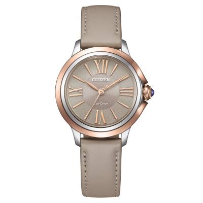 Citizen EM1166-01Z