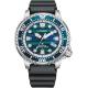 Citizen BN0167-09W Limited Edition