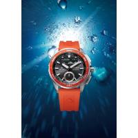 Citizen JV3000-13E