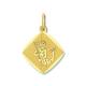 Anhänger Sternzeichen 333/- Gelbgold Wassermann