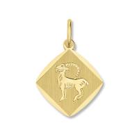 Anhänger Sternzeichen Steinbock 333/- Gelbgold